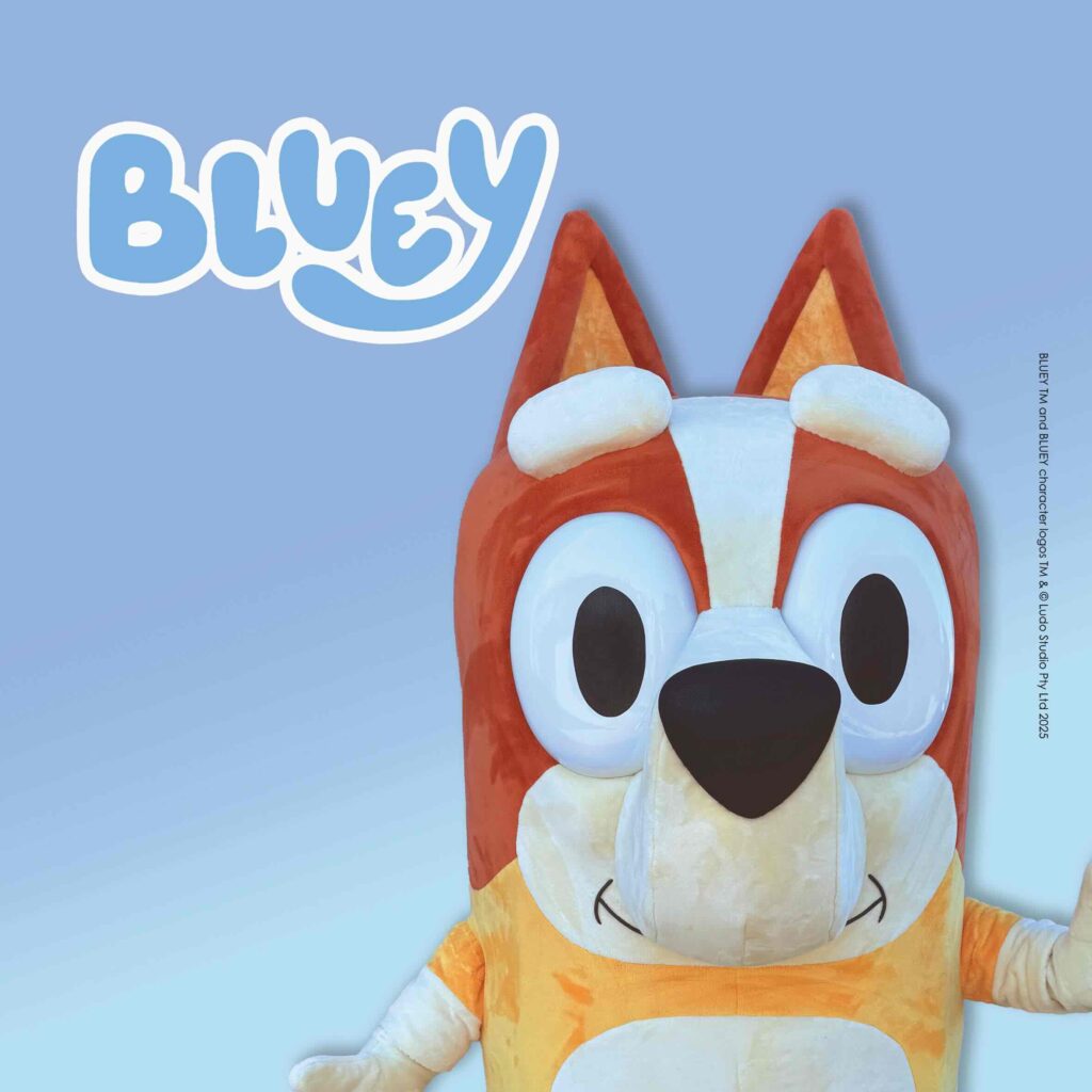 Bingo Katalog